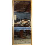 Moderne gilt hall mirror, 7'2''h x 20"w