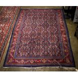 Persian Viss carpet, 10' x 7'3"