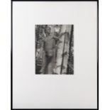 Young Nude Man in the Trees, reproduction print, unsigned, 20th century, overall (with frame): 20.