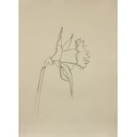 Ellsworth Kelly (American, 1923-2015), "Daffodil," 2004, lithograph, pencil signed lower right,