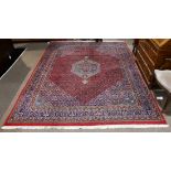 Indo Bidjar carpet, 8'3" x 11'3"