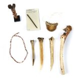 (lot of 8) Pre-Columbian bone and shell tools and jewelry, including a Bird Bone Guage, Aztec,