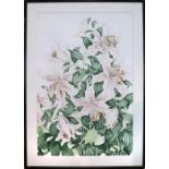 Medardy Westrum (American, 20th century), Tiger Lilies, watercolor, signed lower right, overall (