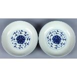 Pair of Chinese underglaze blue porcelain plates, featuring stylized lotus tendrils to the well