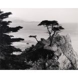 Art Popov (American, 20th Century), "Monterey", 1997, gelatin silver print, signed lower right,