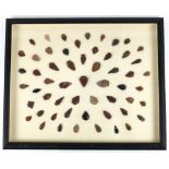 Native American framed arrowheads, in various sizes and forms, 21"h x 18"w