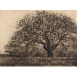 Moishe Smith (American, 20th century), "Green Apples," 1972, etching, pencil signed lower right