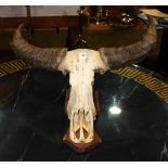 Mounted buffalo skull, 22"H X 30"W