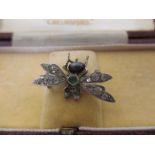 An Edwardian fly brooch