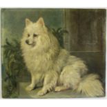 Oil on canvas Pomeranian dog seated, signed John Emms (1843-1912) and dated 78