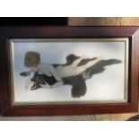 A framed art deco print Nude on bearskin rug