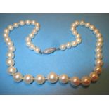 A cultured pearl necklace with diamond clasp