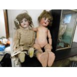 Two c.1900 Armand Marseille dolls