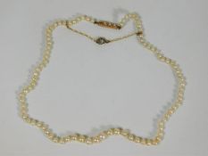 A 19thC. set of pearls with yellow metal fittings