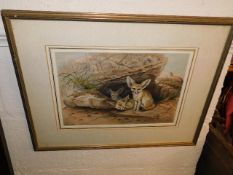 Two framed 19thC. prints after Joseph Wolf