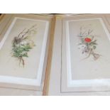 Two framed Harry Spencer limited edition prints