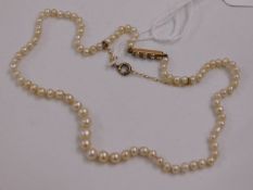 A 19thC. set of pearls with yellow pearl mounted m