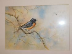 Four framed watercolours of birds signed A. Laver