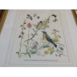 A set of four Marjorie Blamey framed prints