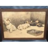 A framed Cecil Aldin print of terrier dogs