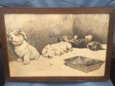A framed Cecil Aldin print of terrier dogs