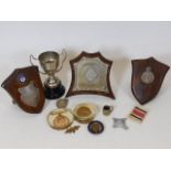 A small quantity of trophies & mounted war medals