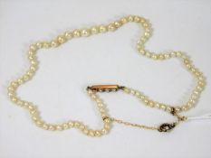A set of Victorian pearls with yellow metal clasp