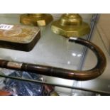 A silver tipped & collared walking cane