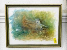 A Robin Armstrong watercolour of nesting snipe