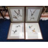 Four framed watercolours of wildlife signed Andrew