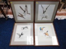 Four framed watercolours of wildlife signed Andrew