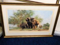 A framed limited edition David Shepherd print of E