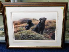 A framed limited edition Steven Townsend print of