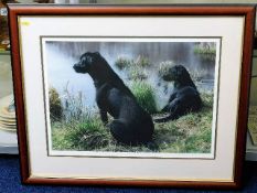 A framed limited edition Steven Townsend print of