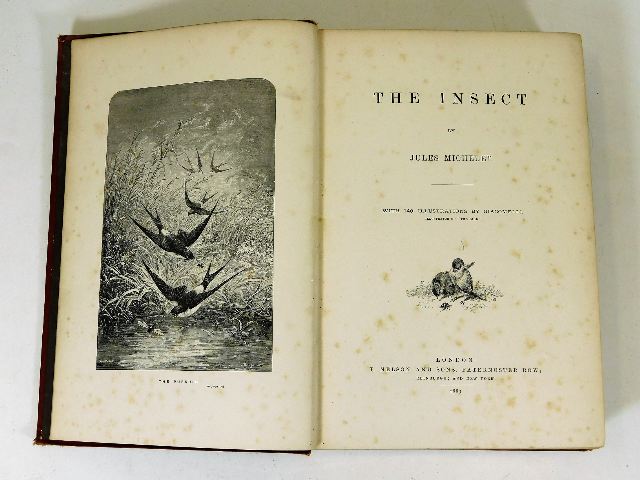 The Insect by Jules Michelet dated 1873