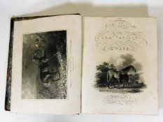 History & Delineation of the Horse 1809