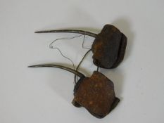 A pair of 19thC. cock fighting spurs