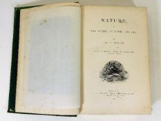 Nature, the poetry of Earth & Sea by Madame Michel