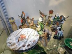 A collection of robin plates & robin related ornam