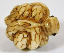 A c.1900 Japanese carved ivory inroe of a coiled s