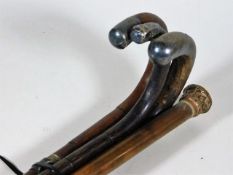 Four walking canes, two of which have silver tips