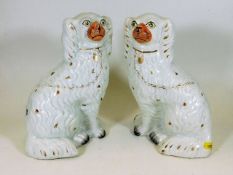 A pair of Victorian Staffordshire dogs 9.75in tall
