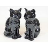 A pair of gloss black Sylvac model cats
