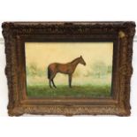 A c.1900 gilt framed oil on canvas of horse, indis