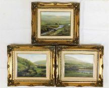 Three Bob Tucker gilt framed oils of Dartmoor, Dev