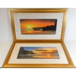 Two framed Steven Townsend signed limited edition