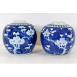 A pair of c.1900 Chinese blue & white prunus jars