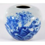 A Chinese porcelain blue & white porcelain ovoid water pot with naturalistic decor & Kangxi mark to
