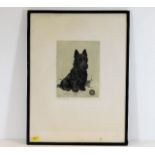 A framed hand signed in pencil print of a Scottie