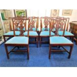Ten Edwardian mahogany Chippendale style dining ch